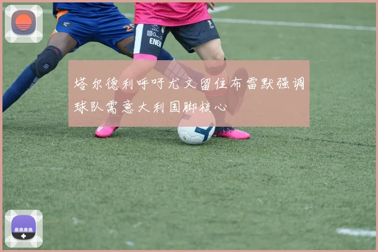 塔尔德利呼吁尤文留住布雷默强调球队需意大利国脚核心
