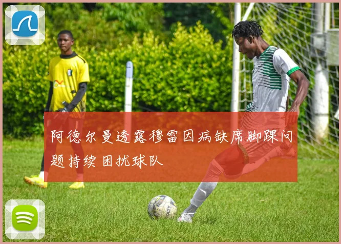 阿德尔曼透露穆雷因病缺席脚踝问题持续困扰球队