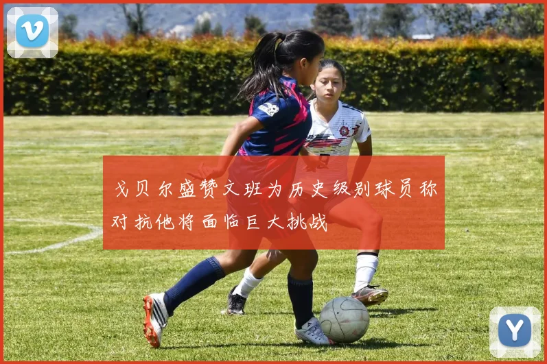 戈贝尔盛赞文班为历史级别球员称对抗他将面临巨大挑战